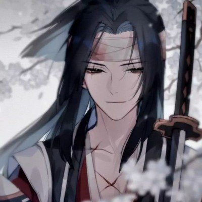 多位省委书记省长会见王传福